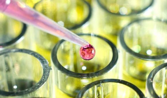 Vésale Pharma creates a research subsidiary©CCI Mag