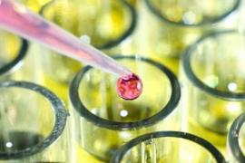 Vésale Pharma creates a research subsidiary©CCI Mag Vésale Pharma creates a research subsidiary©CCI Mag
